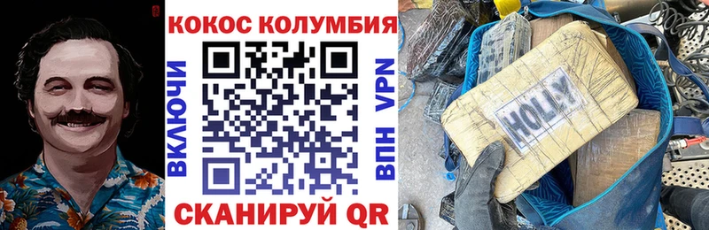 КОКАИН FishScale  дарнет шоп  Каменка 