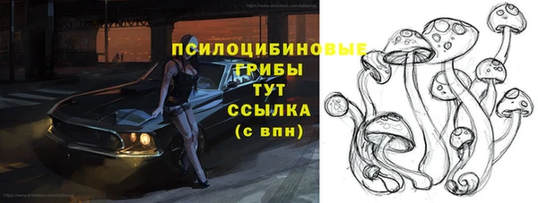 МДПВ Абаза