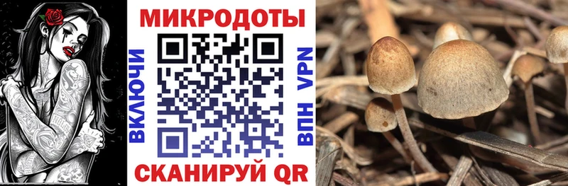 Галлюциногенные грибы Magic Shrooms нарко площадка Telegram Каменка