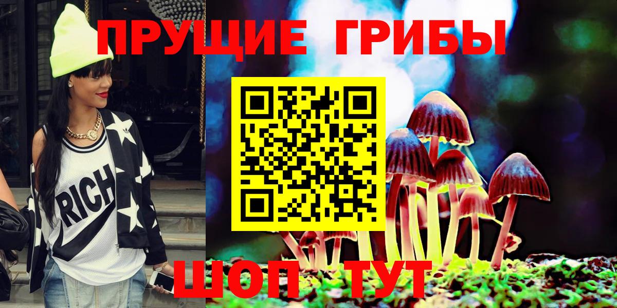 Каменка  Галлюциногенные грибы MAGIC MUSHROOMS  Вход с VPN 