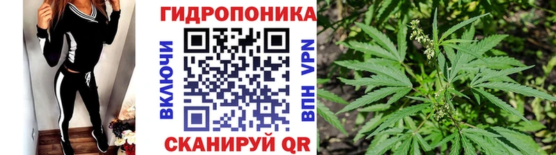 Канабис семена Каменка
